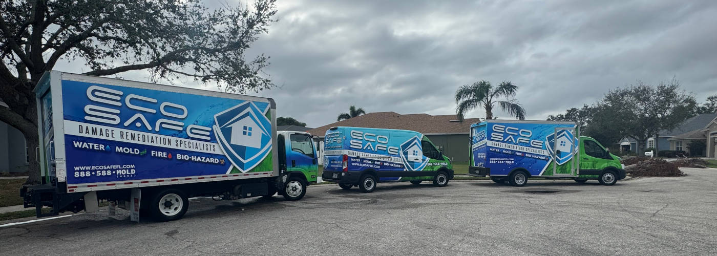 Featured Image for Eco Safe Inc